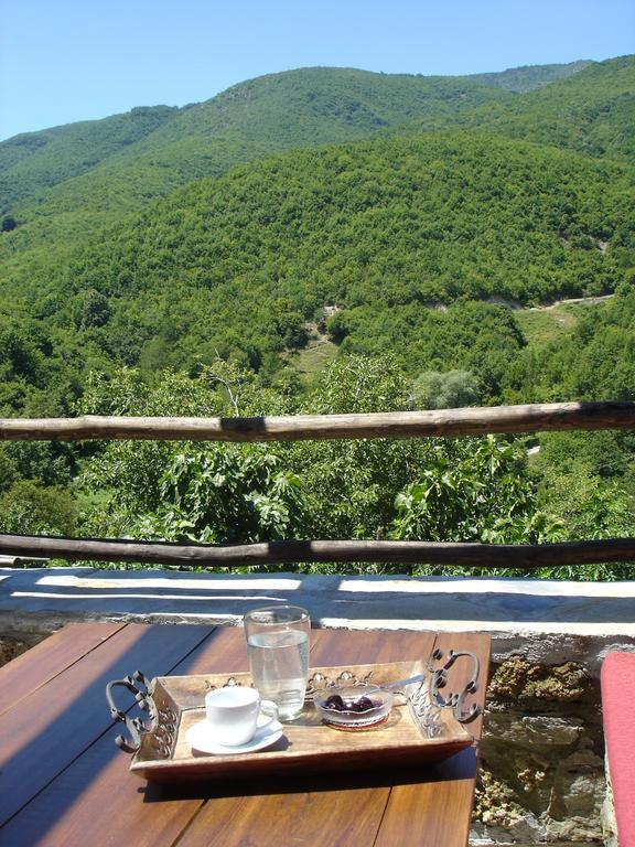 Villa Vadola Arkohóri Kültér fotó